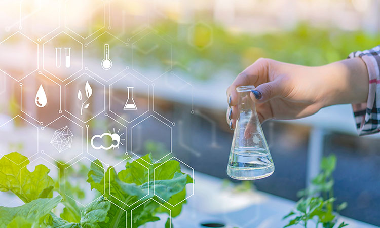 三次電解、磁化工藝