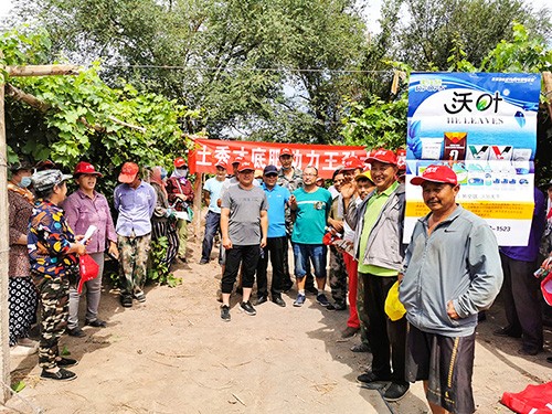 市場(chǎng)服務(wù)