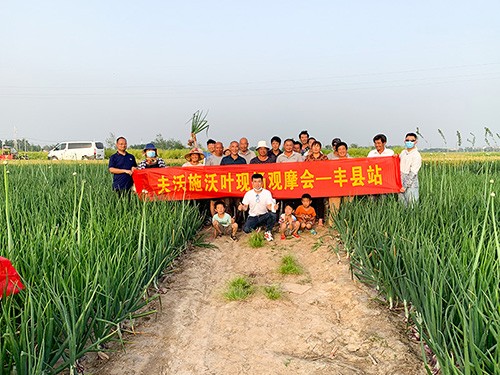 市場(chǎng)服務(wù)