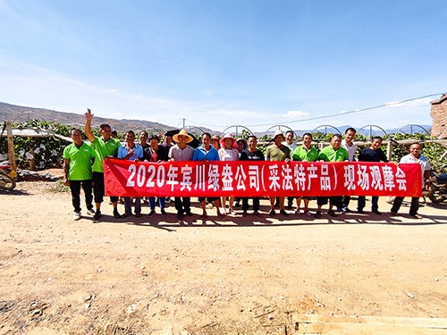 市場(chǎng)服務(wù)