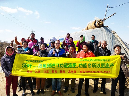 市場(chǎng)服務(wù)