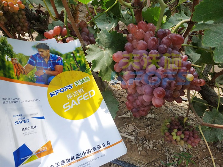 磷酸二氫鉀為什么都說(shuō)粉劑的好？