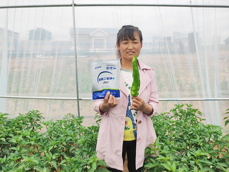 磷酸二氫鉀不好用？那是因?yàn)闆]選對(duì)！