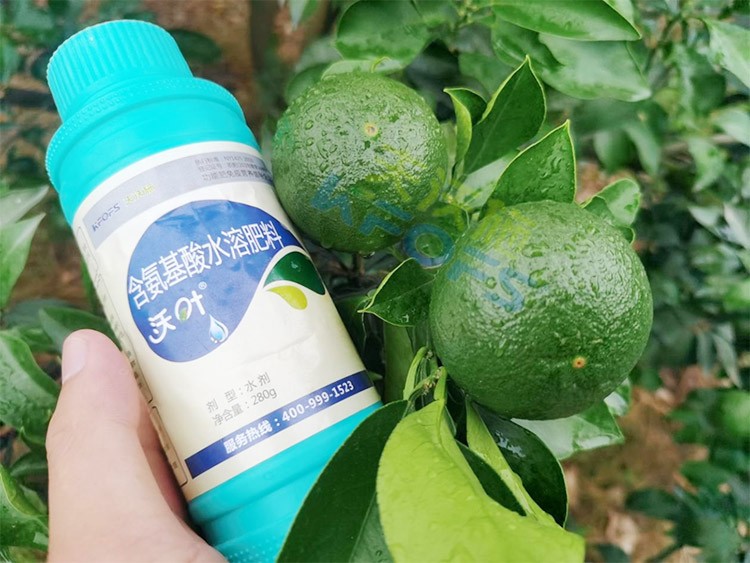 柑橘膨果轉(zhuǎn)色期用什么水溶肥好？