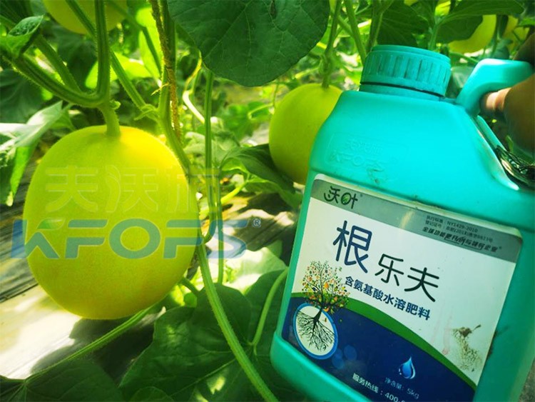 甜瓜用哪個(gè)水溶肥廠家的產(chǎn)品好？