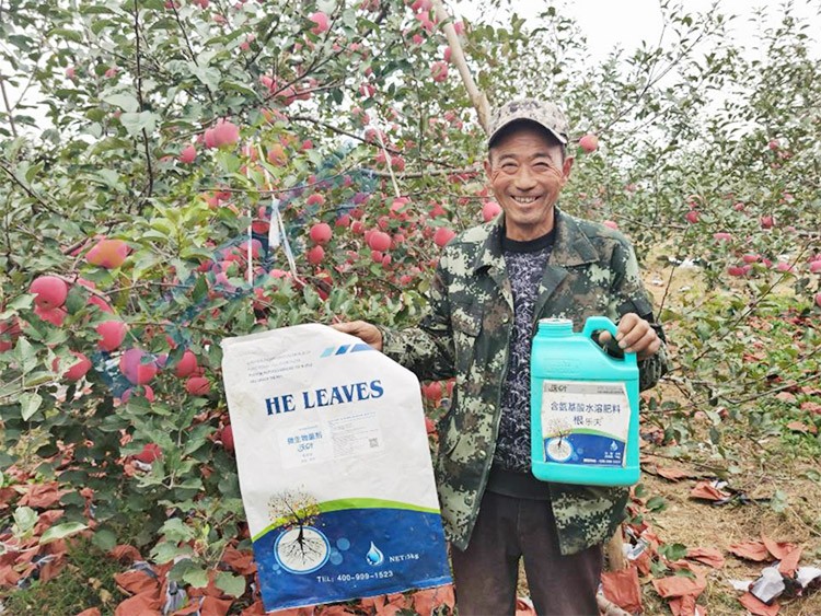 蘋果樹用什么生根肥好？看看這款！