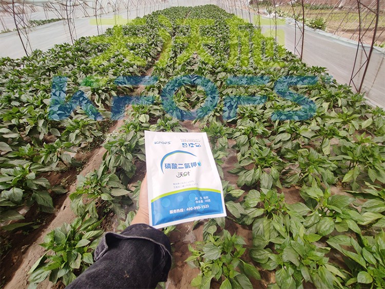 磷酸二氫鉀廠家，這家不要錯(cuò)過！