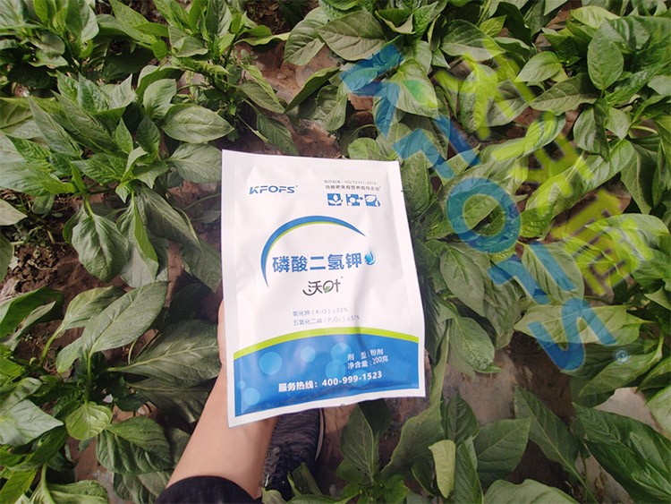 磷酸二氫鉀廠家，這家不要錯(cuò)過！