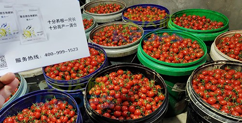 夫沃施進(jìn)口肥怎么樣？