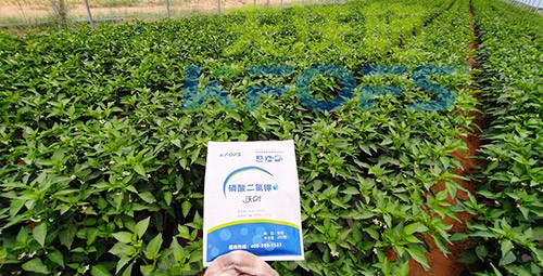 磷酸二氫鉀不好用？那是因?yàn)闆]選對(duì)！