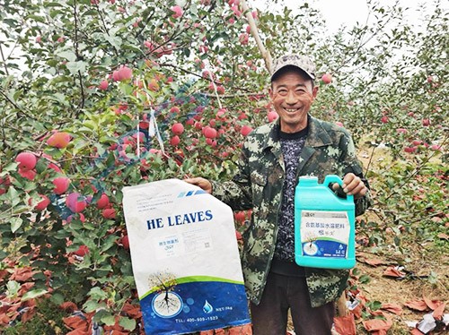 蘋(píng)果樹(shù)用什么生根肥好？看看這款！