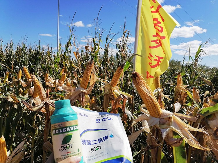 玉米葉面肥哪個品牌好？