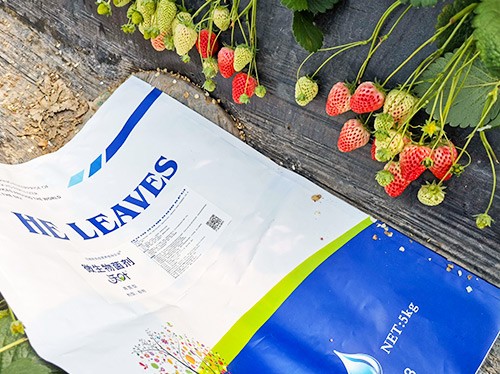 草莓微生物菌劑哪種好？別用錯(cuò)了！