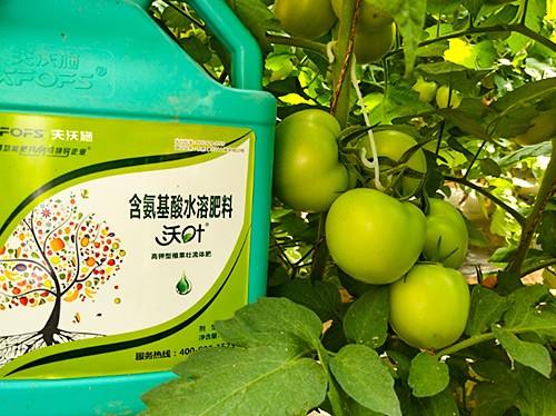 蔬菜沖施肥哪個(gè)品牌好？經(jīng)驗(yàn)實(shí)談