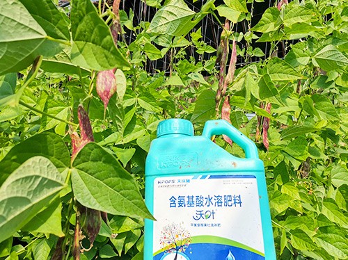 進(jìn)口水溶肥，懂行的人都這么選！