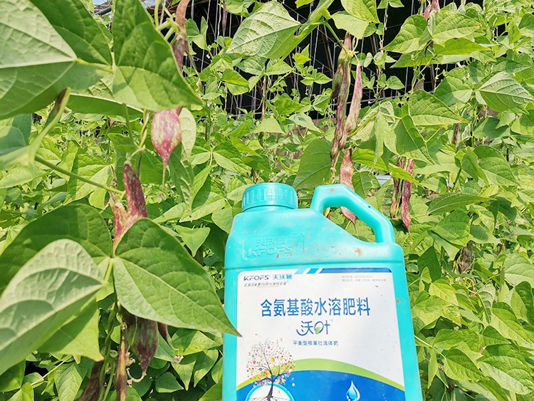 進(jìn)口水溶肥，懂行的人都這么選！