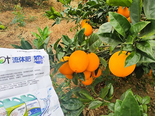 好的水溶肥是什么生產(chǎn)工藝？