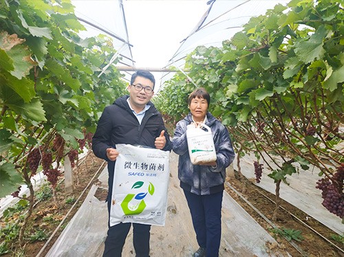 水溶肥廠(chǎng)家夫沃施都說(shuō)好？好在哪？