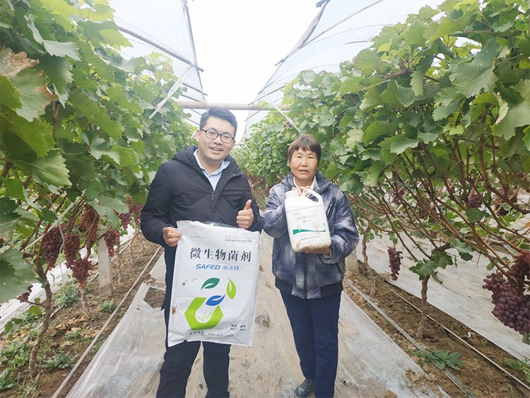 水溶肥廠家夫沃施都說好？好在哪？