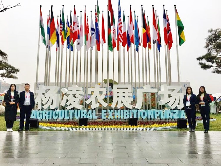 新時代背景下的楊凌農(nóng)高會，功能肥地位更凸顯