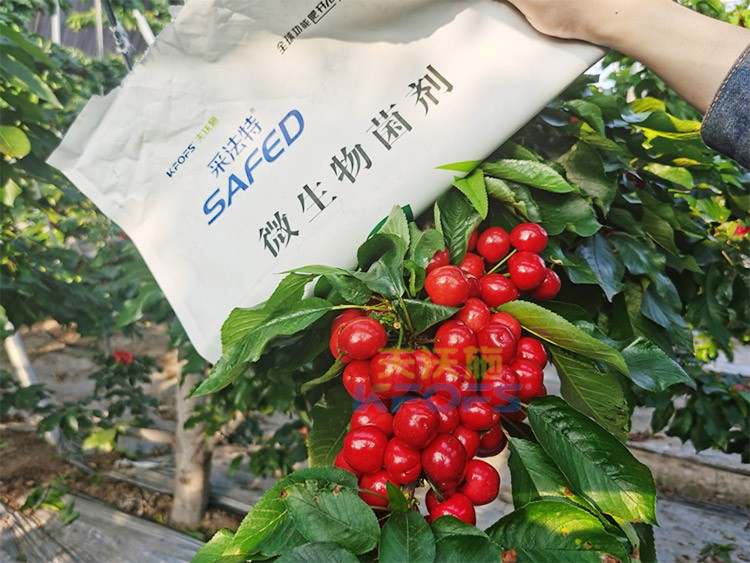 進(jìn)口水溶肥怎么選？參考這三點就夠了！