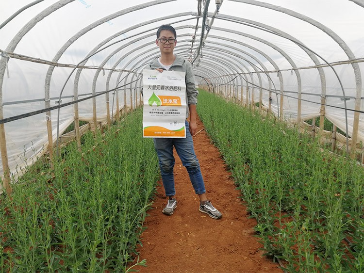 進(jìn)口水溶肥以色列的哪家好？