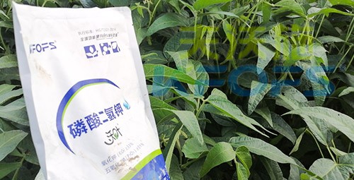 進(jìn)口磷酸二氫鉀不得不了解的一個(gè)品牌！