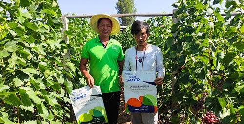 肥料廠(chǎng)家，有經(jīng)驗(yàn)的農(nóng)資人這樣選！