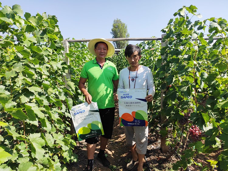 肥料廠家，有經(jīng)驗的農(nóng)資人這樣選！