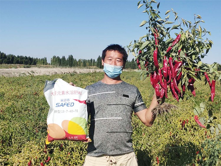 肥料廠家，有經(jīng)驗的農(nóng)資人這樣選！