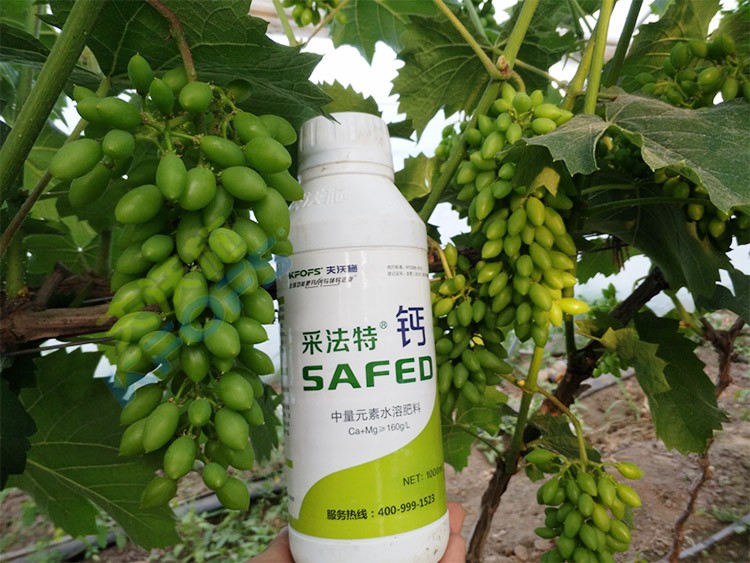 鈣肥什么品牌的比較好？