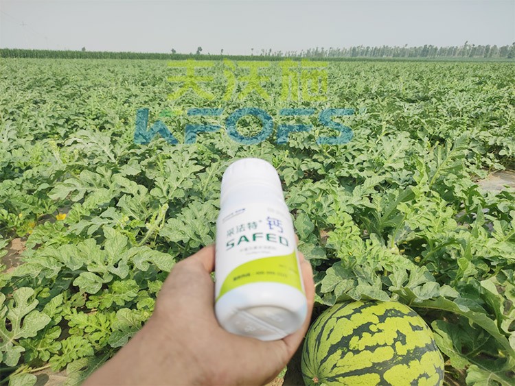 鈣肥什么品牌的比較好？