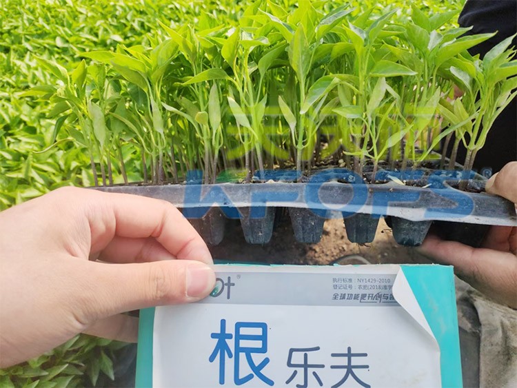 生根劑要安全不傷根，就選這個牌子！