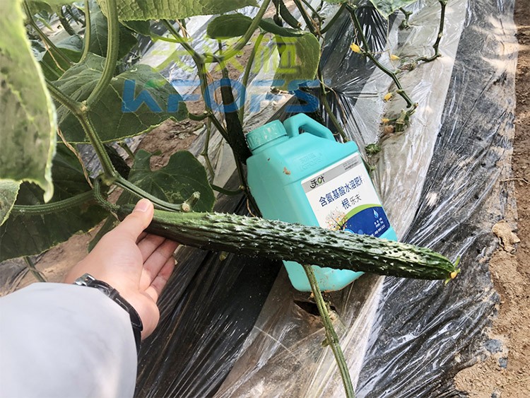 生根劑要安全不傷根，就選這個牌子！