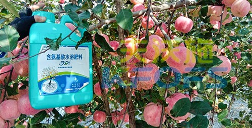 沖施肥怎么去沖施？什么牌子的好？