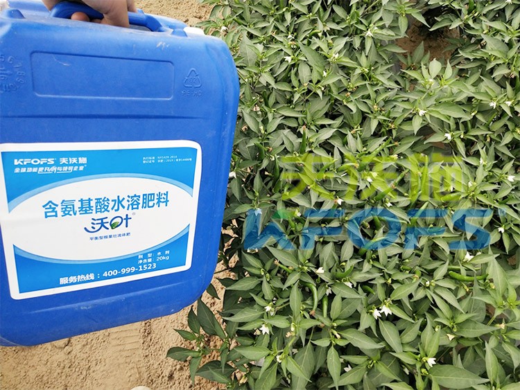 沖施肥怎么去沖施？什么牌子的好？