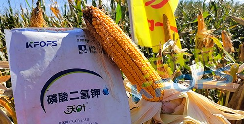 進(jìn)口磷酸二氫鉀哪個品牌好？