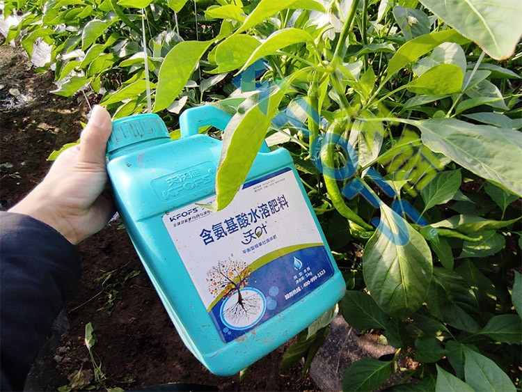 水溶肥的作用，不得不說(shuō)太強(qiáng)大了！