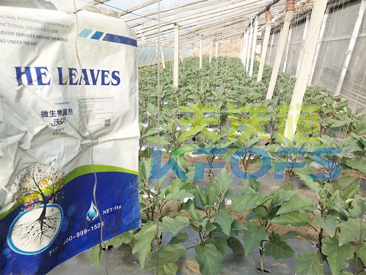 微生物菌劑怎么選擇好？