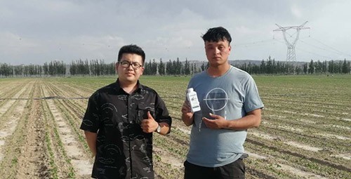 藥害還能恢復(fù)生長嗎？這篇告訴你！