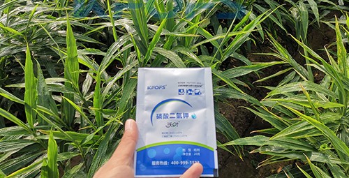 磷酸二氫鉀選這個品牌，不會錯！