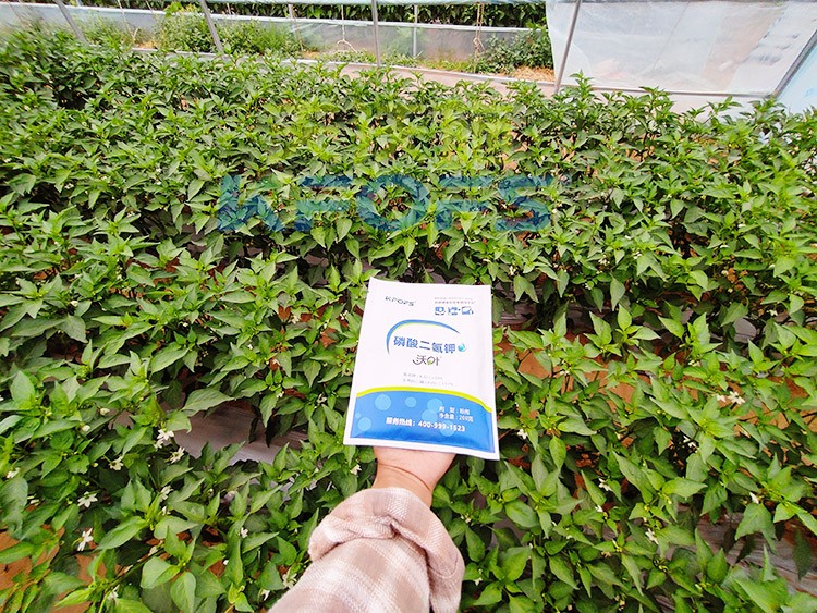 磷酸二氫鉀選這個(gè)品牌，不會(huì)錯(cuò)！