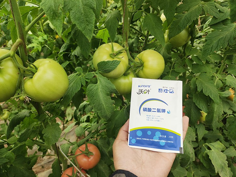 購買磷酸二氫鉀要看哪幾點(diǎn)？
