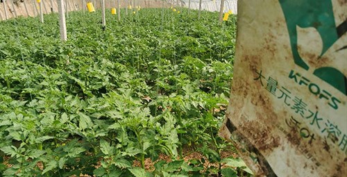 什么牌子的磷酸二氫鉀好？這個答案不要錯過！