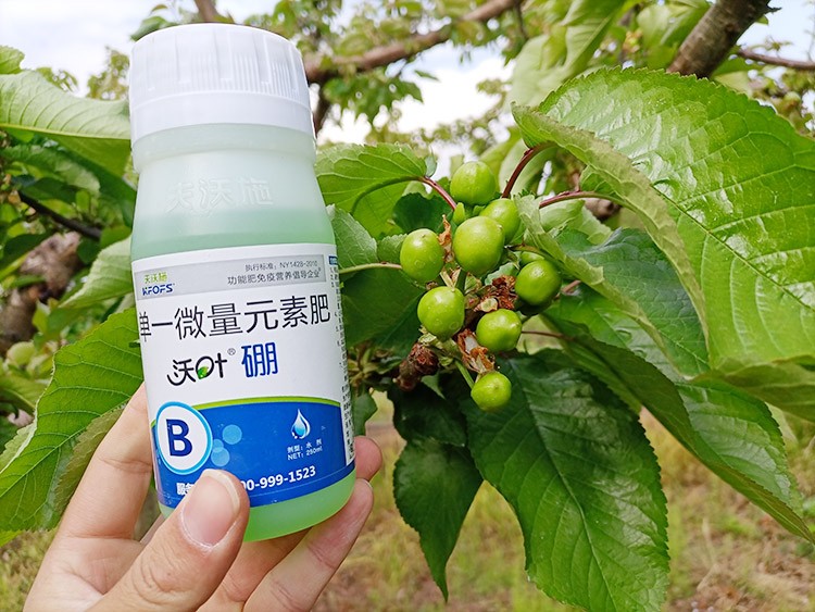 硼肥哪個(gè)品牌的好？這款不要錯(cuò)過(guò)！
