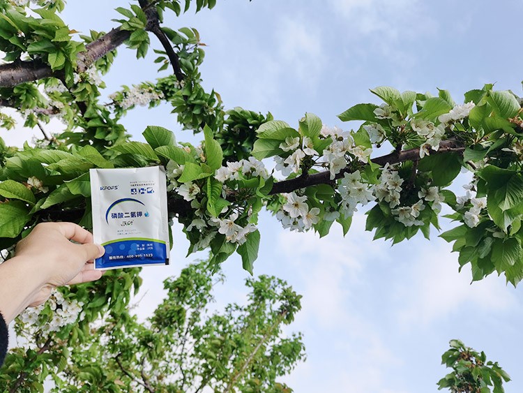 保花保果葉面肥，她就認(rèn)準(zhǔn)這個(gè)牌子！