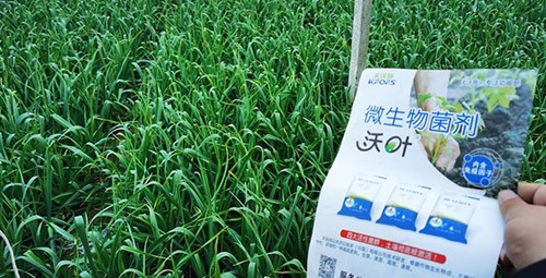 微生物菌劑選它，放心又舒心！