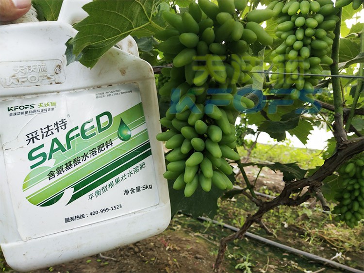 葡萄水溶肥品牌哪個好？案例告訴你！
