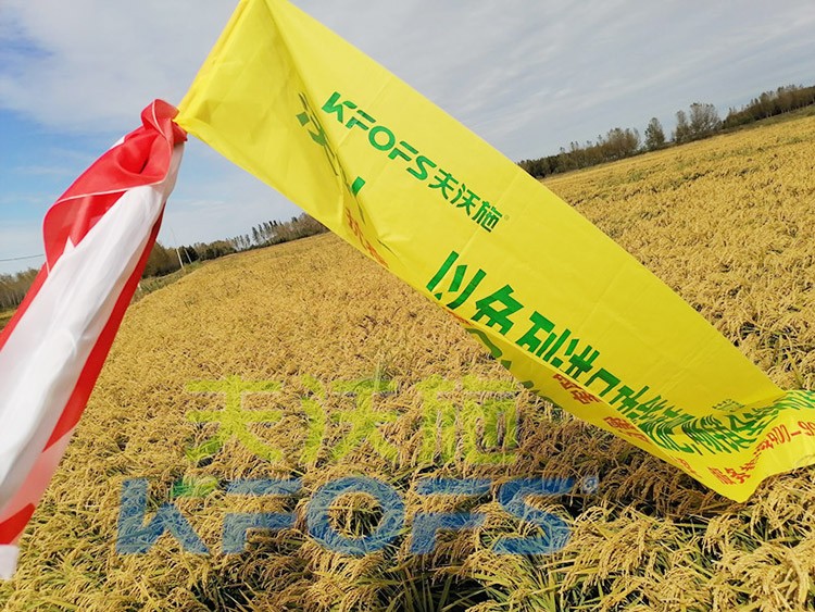 水稻用水溶肥，這三個方面的效果很明顯！