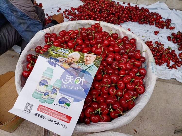 果樹(shù)葉面肥哪個(gè)品牌好？